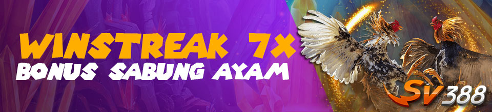 SABUNG AYAM 7X